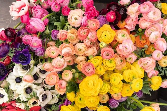 敬老の日におすすめの花ランキング!たまにはお花を贈らない?