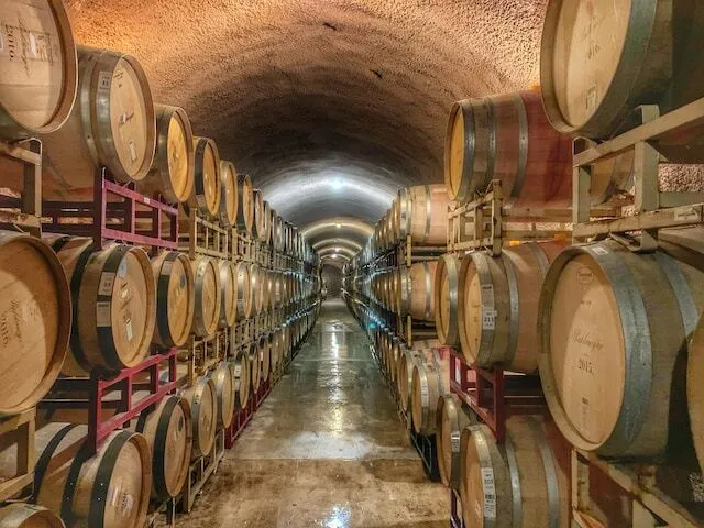 ワインの作り方を左右する秘訣!酵母って何だか知ってる?