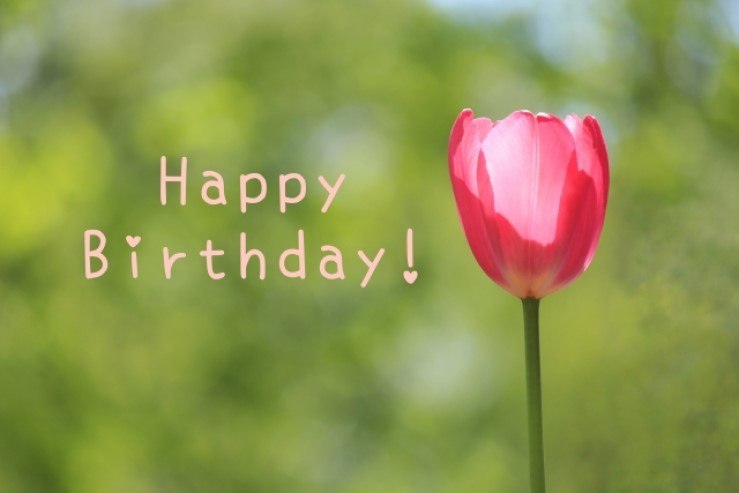 誕生日の過ごし方ランキング！1人の特別な時間を満喫できる方法をご紹介