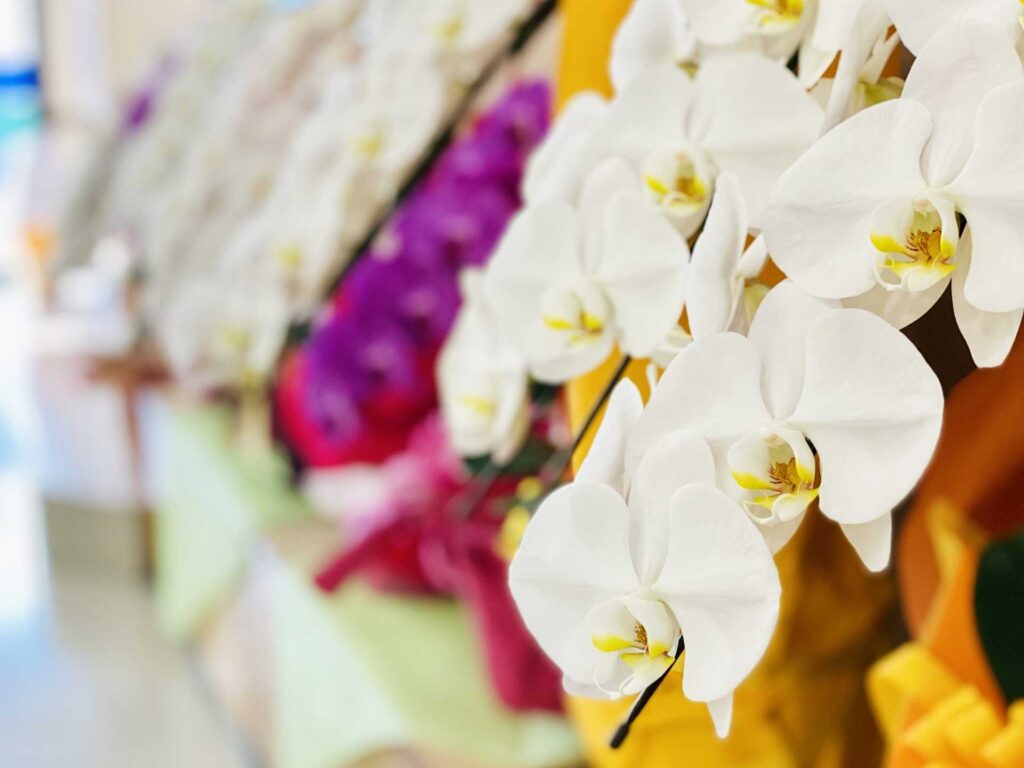 開店祝いにお酒を贈るならマナーが大切！種類や相場を大解説