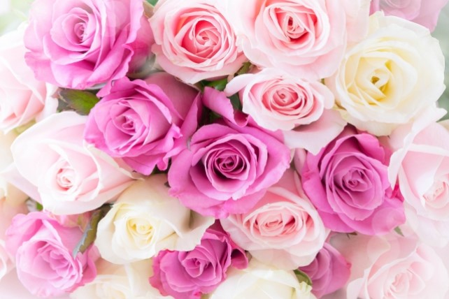 プレゼントの予算は15000円|女性が喜ぶアイテムを集めました