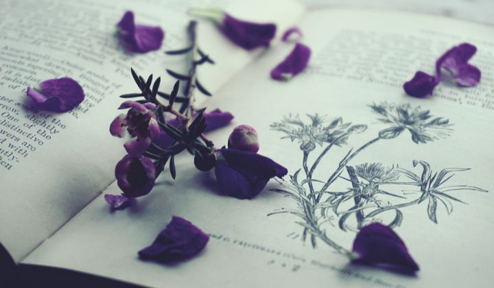 【NG】選んではいけない喜寿のプレゼント3選！