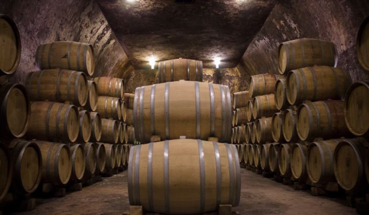 ワインの作り方の工程をわかりやすく解説！美味しいワインはどうやってできる？