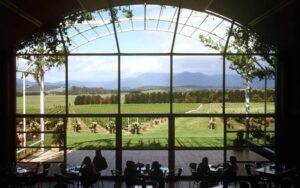 ワイナリー数が日本で増加中！急成長中の日本ワインの魅力