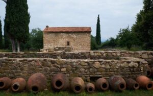 ワインはいつから存在した？発祥の地や一番古いワインの価値について解説