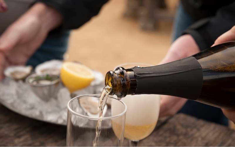 日本ワイン150年の歴史を徹底解説｜魅力や世界的な評価、飲みやすいワインを紹介