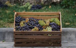 ブレンドワインの魅力とは？メリットやおすすめ産地、ワインも紹介