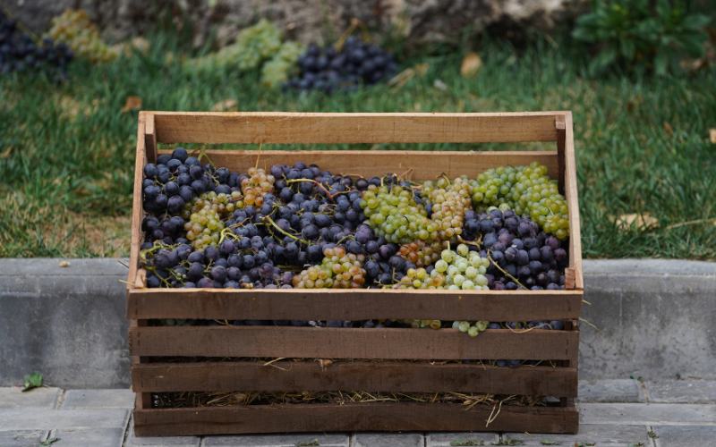 ブレンドワインの魅力とは？メリットやおすすめ産地、ワインも紹介