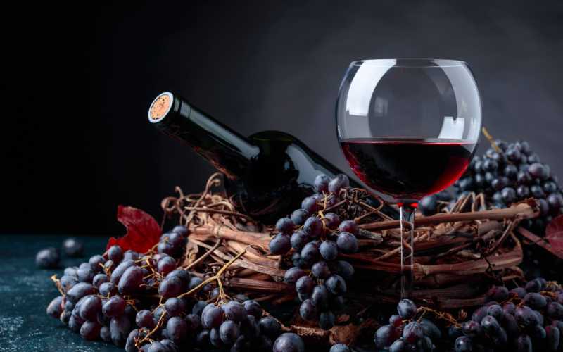 ワイン用のぶどうは食べられる？食用ぶどうとの違いや品種の特徴を紹介