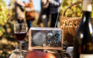 ワインに音楽を聞かせる音響熟成ワインって知ってる？魅力やメリット、おすすめワインも紹介