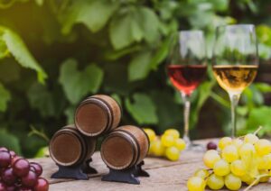 生ワインとワインの違いは何？選び方のコツとおすすめ5選