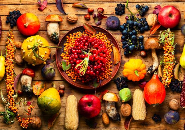 食欲の秋にふさわしいワイン│季節の味覚と味わう最高のペアリング