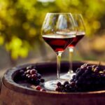 赤ワイン有名産地ごとの味の違いを学ぼう！おすすめワインも紹介